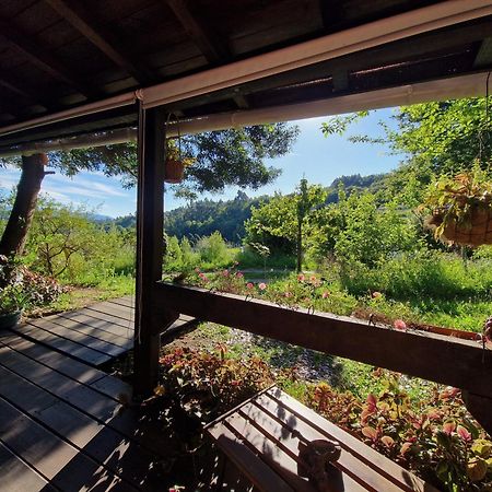 O Cantinho De Coura - A Cabana Paredes de Coura Εξωτερικό φωτογραφία