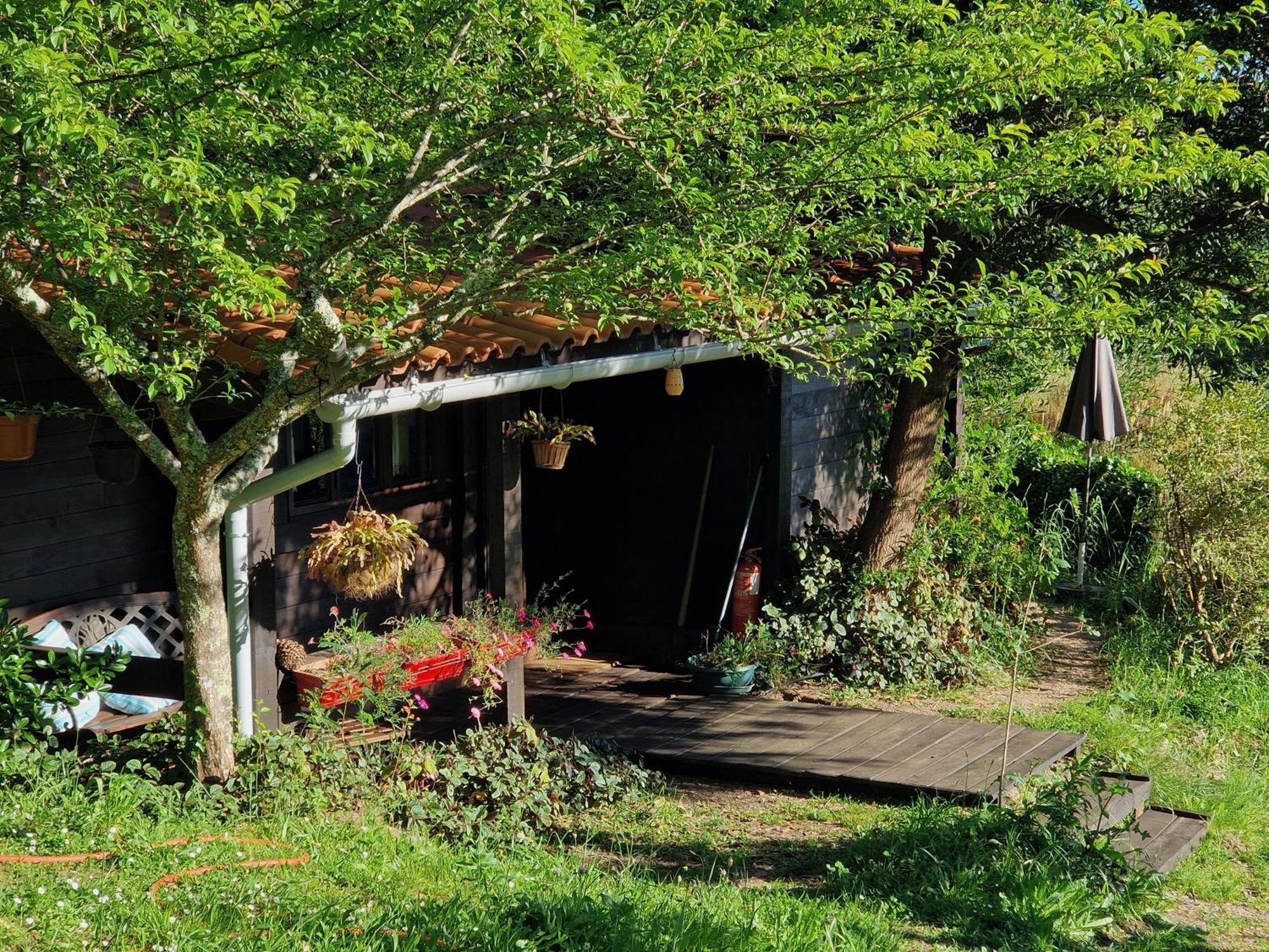 O Cantinho De Coura - A Cabana Paredes de Coura Εξωτερικό φωτογραφία